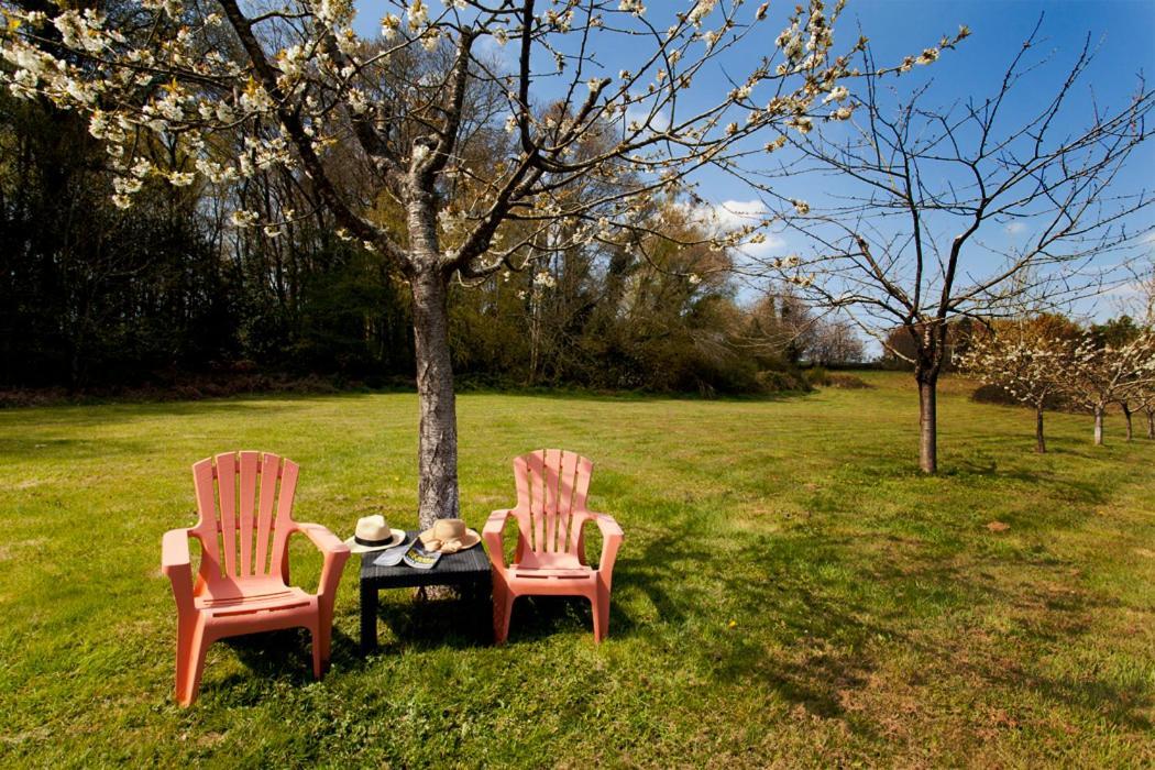Stone Cottage With Modern Cosy Interior Near To Josselin Perfect Retreat For Writers Or Star Gazers Guégon Exterior foto
